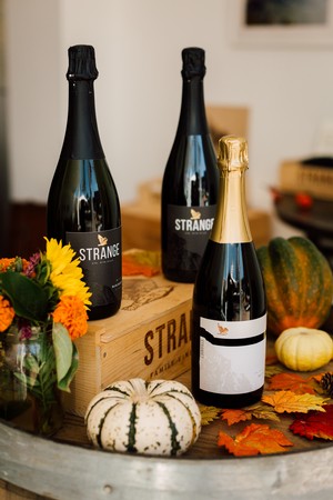 Strange Sparkling Holiday Trio
